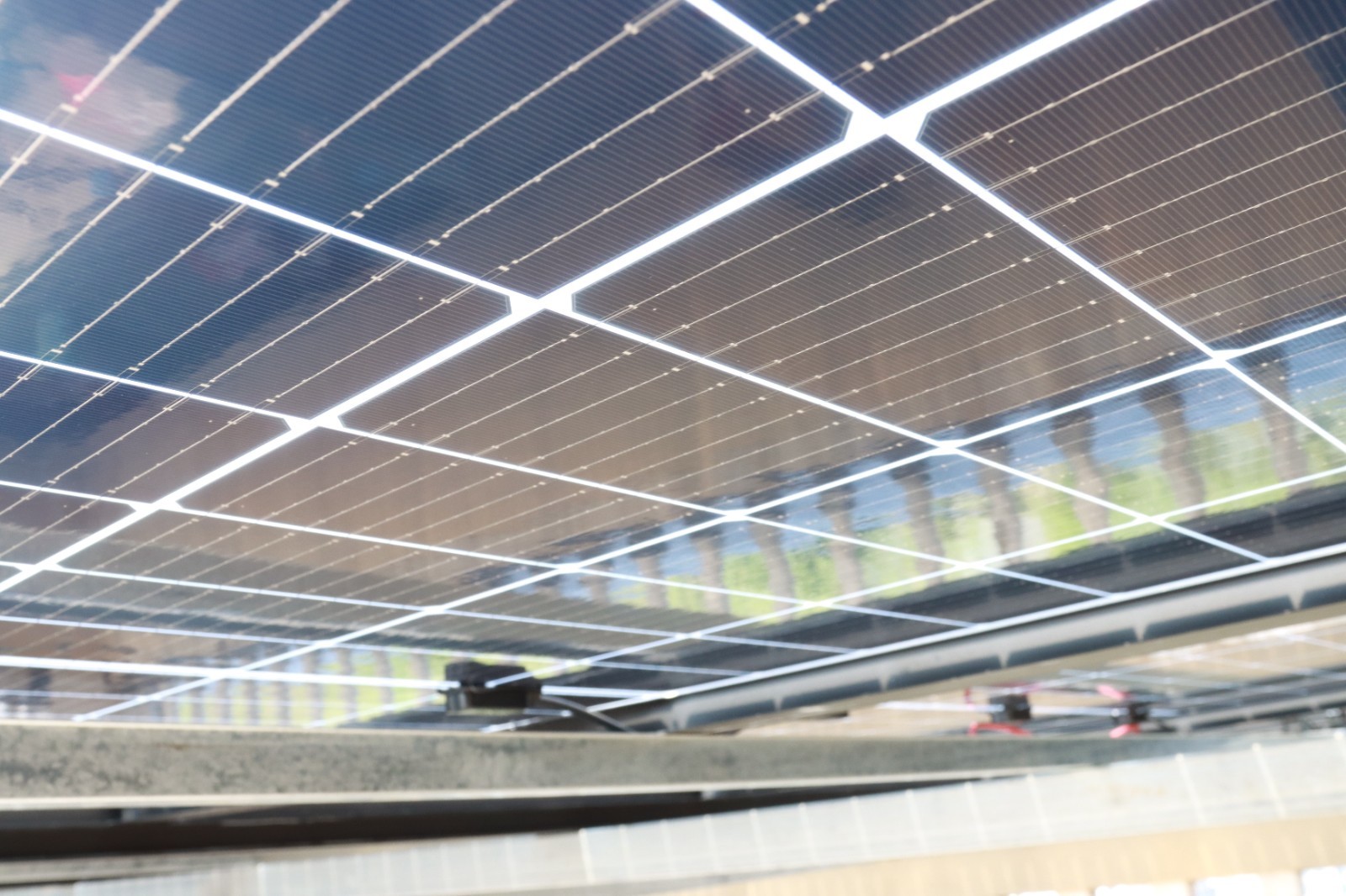 湖北鑫和綠色能源有限公司 湖北鑫和綠色能源有限公司