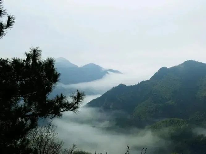 湖北鑫和綠色能源有限公司 湖北鑫和綠色能源有限公司