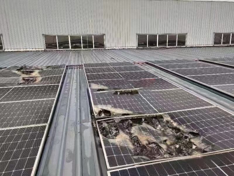 重磅提示 ┃ 選裝光伏，請果斷拒絕低價誘惑！切記??！莫要入坑再被套路！?。?></div>
					<div   id=